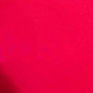 Neon Scarlet Gerbera